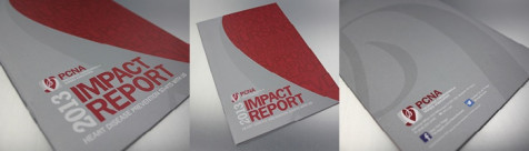 DESIGNING AND PRINTING WITH METALLIC INK: Annual Report
