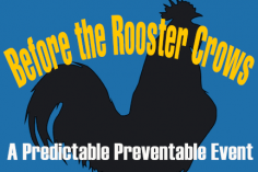 Before Rooster Crows systems