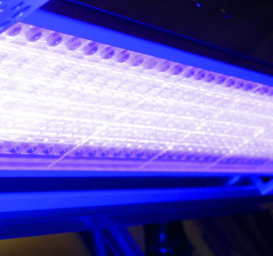 Pictured above is a close-up of the LED-UV Powerline Focus system from Eltosch Grafix.