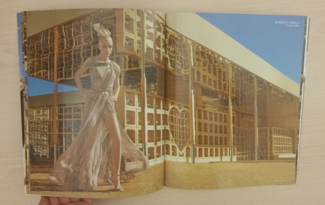 The photo shoot for the various images was done in Joshua Tree, Calif., at Acido Dorado. The result was stunning images mixed with cool Metallic Gold effects.