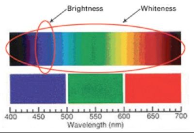 The Difference Between Whiteness And Brightness - Sabine Lenz